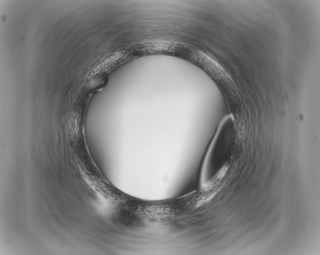 X0000085830546200704091700