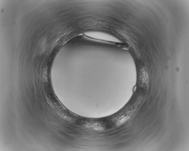 X0000085830547200704091700