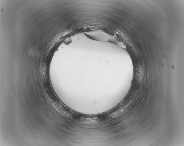 X0000085830548200704091700