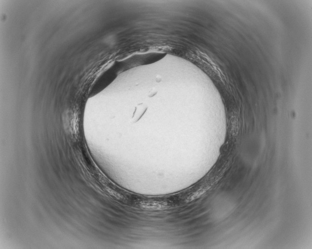 X0000085830549200704091700