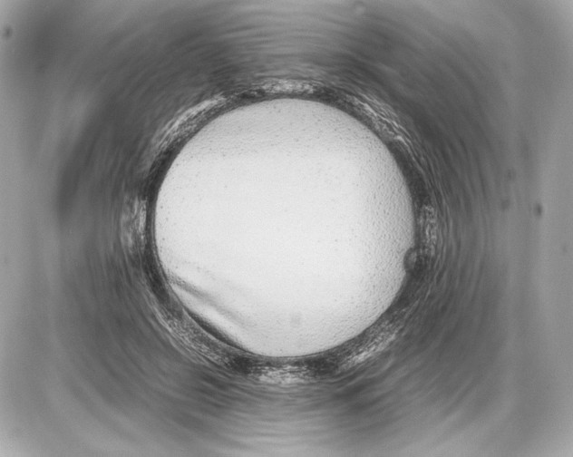 X0000085830550200704091700