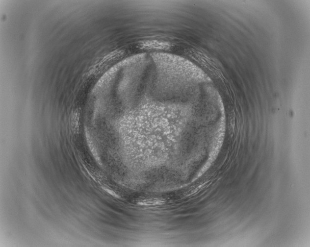 X0000085830551200704091700