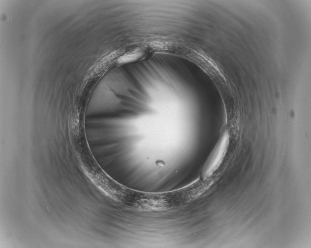 X0000085830552200704091700