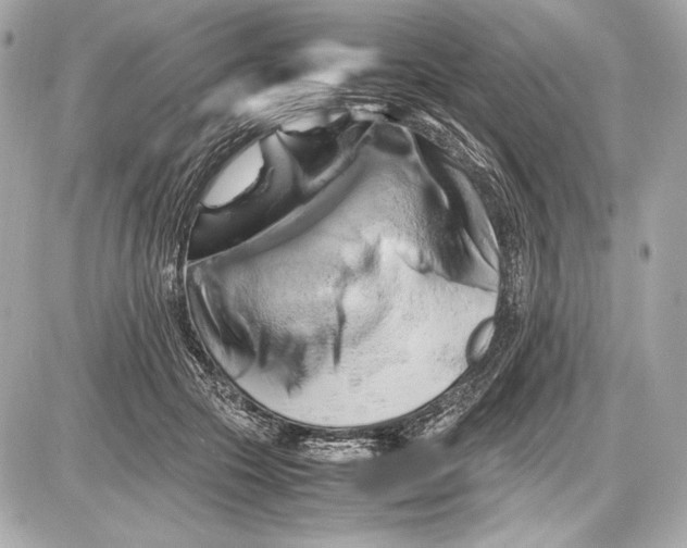 X0000085830553200704091700