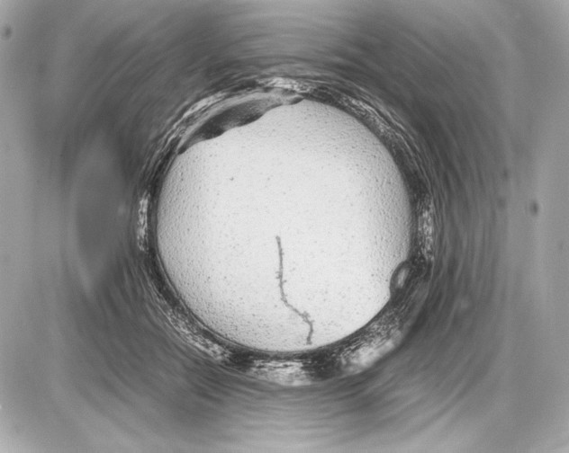 X0000085830554200704091700