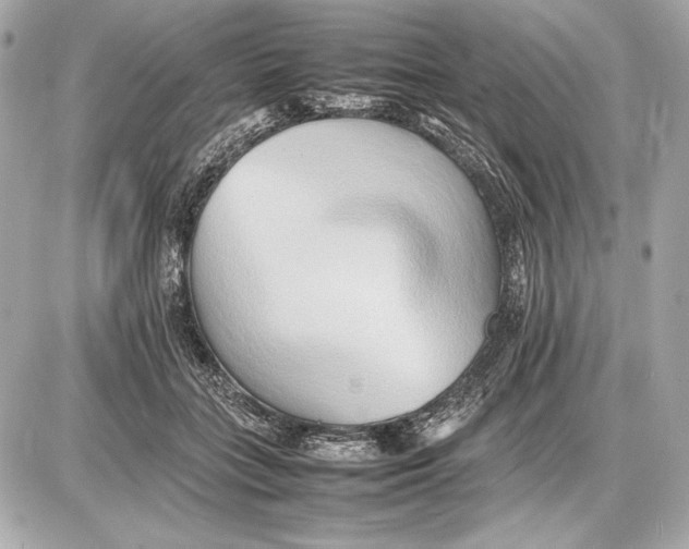 X0000085830555200704091700