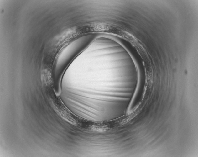 X0000085830556200704091700