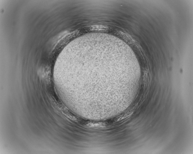 X0000085830557200704091701