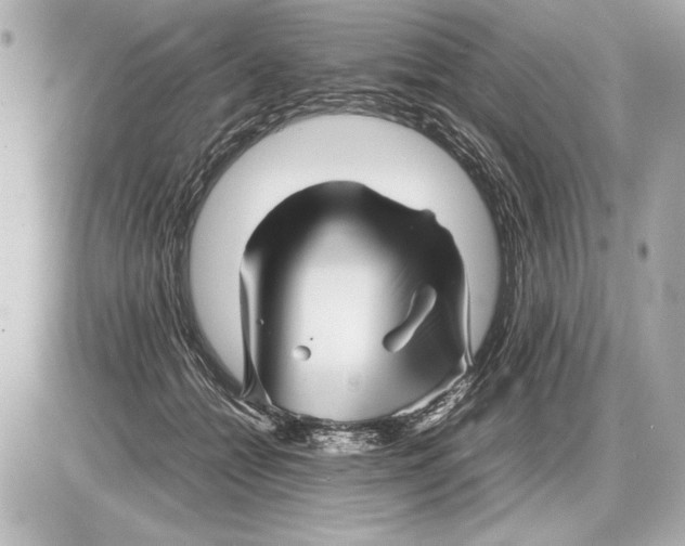 X0000085830558200704091701