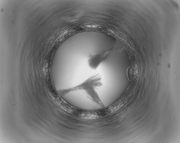 X0000085830559200704091701