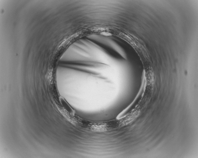 X0000085830560200704091701