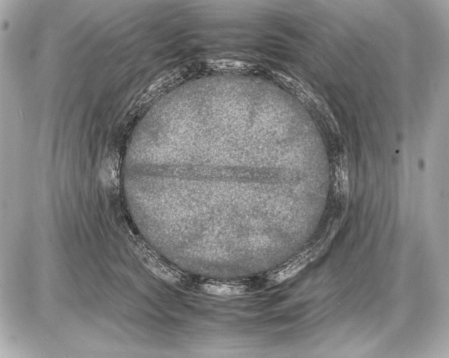 X0000085830561200704091701