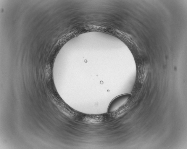 X0000085830563200704091701