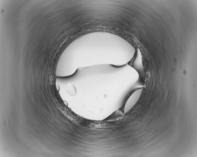 X0000085830564200704091701