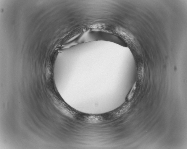 X0000085830566200704091701