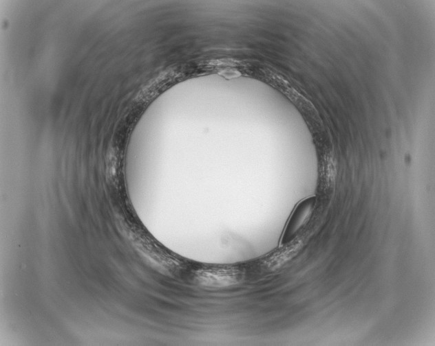 X0000085830567200704091701