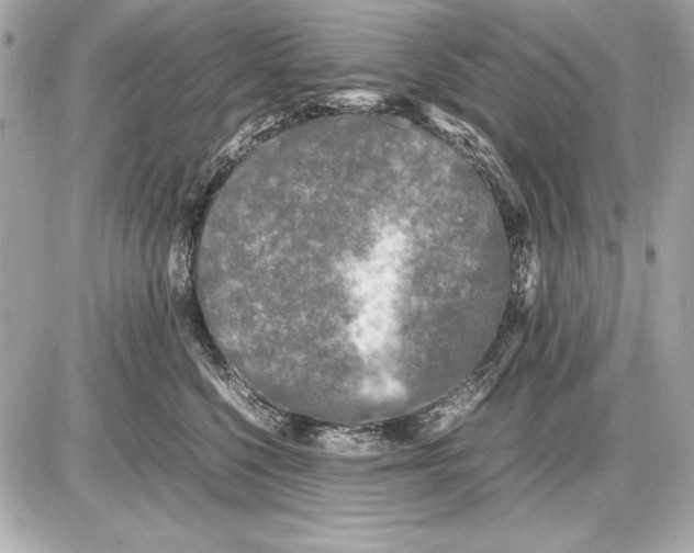 X0000085830568200704091701