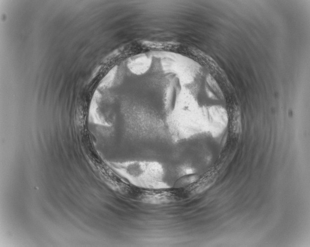 X0000085830569200704091701