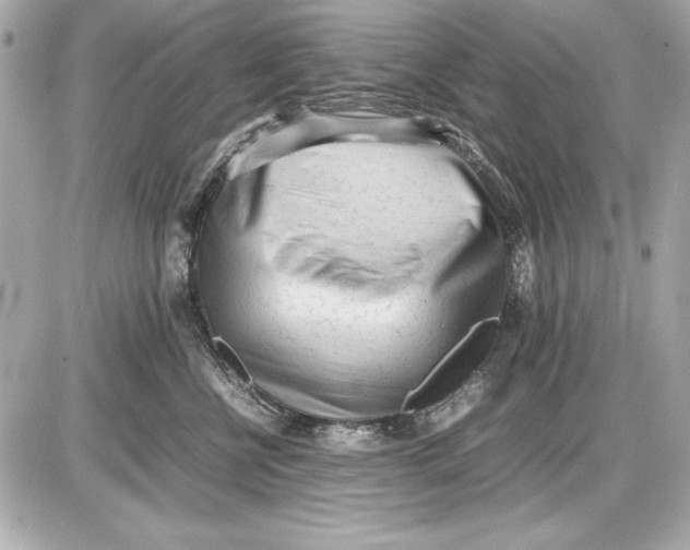 X0000085830570200704091701