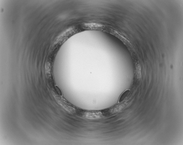 X0000085830571200704091701