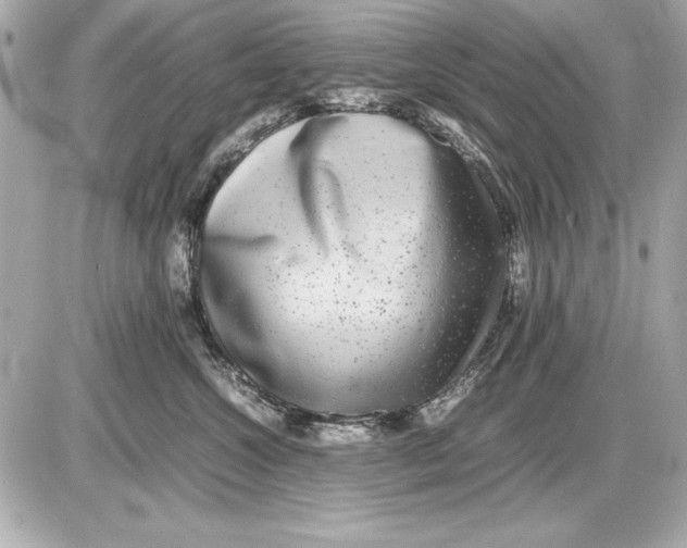 X0000085830572200704091701