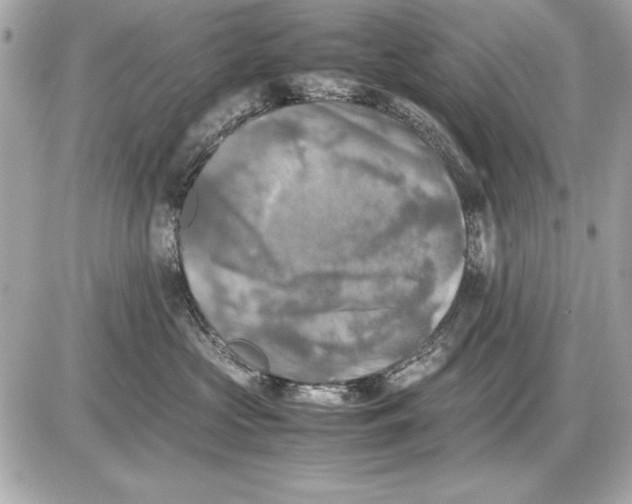 X0000085830573200704091701