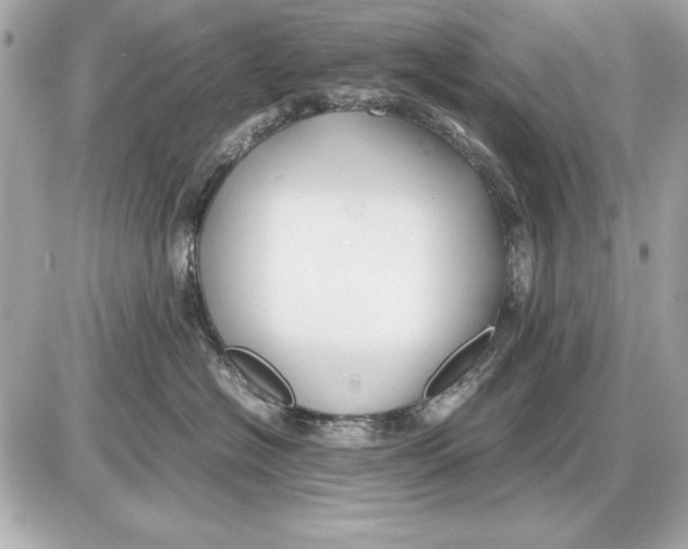 X0000085830574200704091701