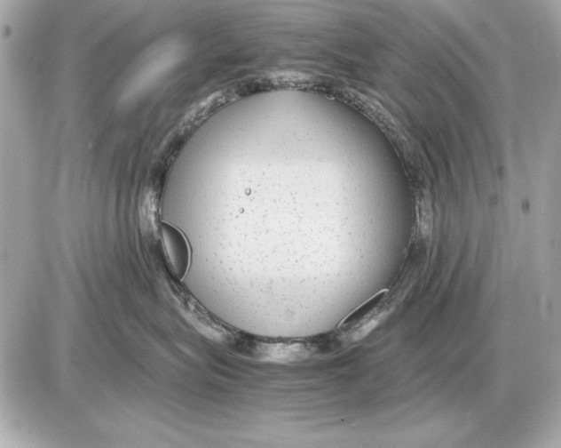 X0000085830575200704091701