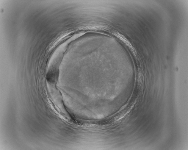 X0000085830577200704091700