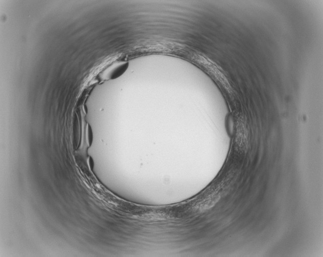 X0000085830578200704091700