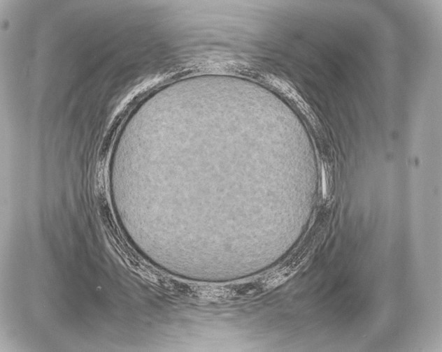 X0000085830579200704091700