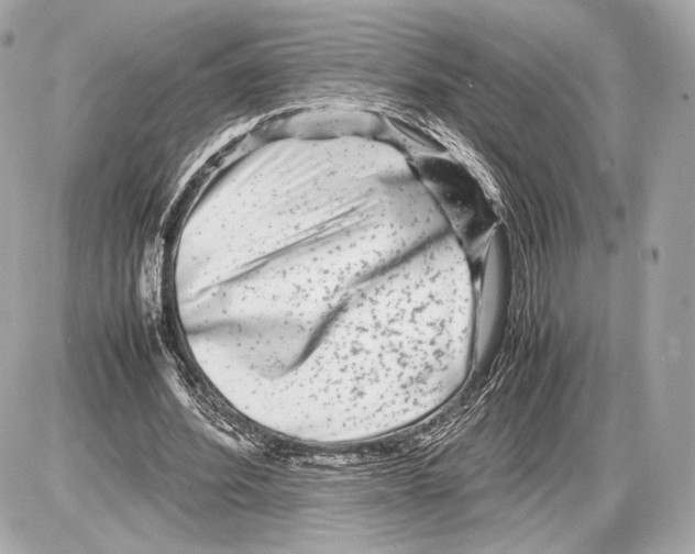 X0000085830580200704091700