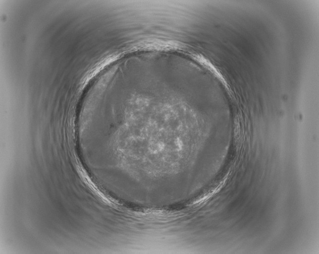 X0000085830581200704091700