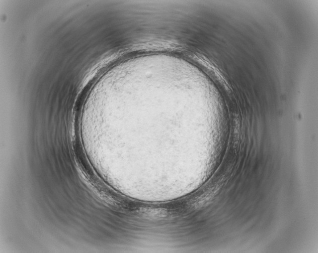 X0000085830582200704091700