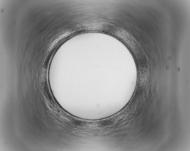 X0000085830583200704091700