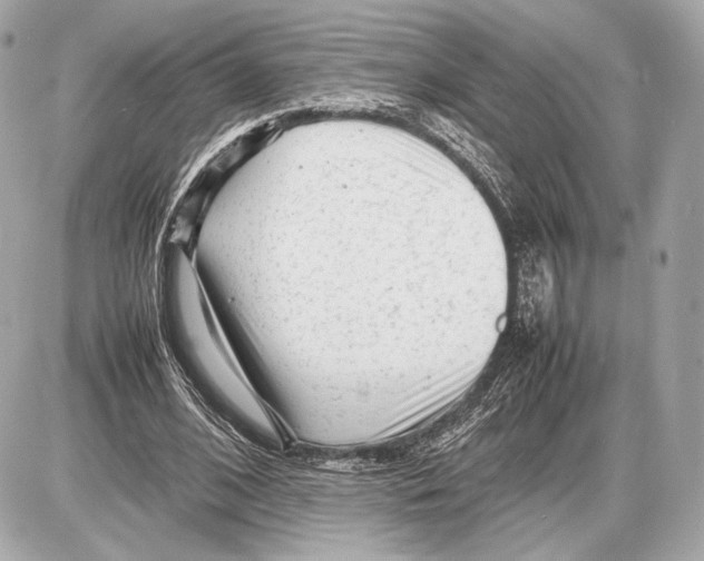 X0000085830584200704091700