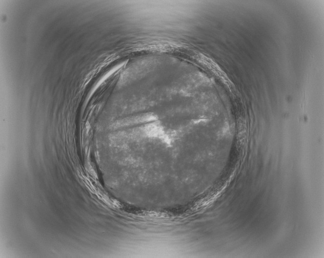 X0000085830585200704091700