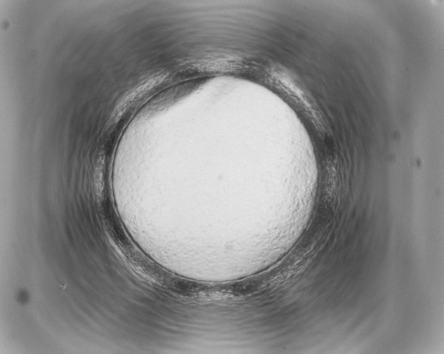 X0000085830586200704091700