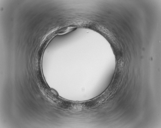 X0000085830587200704091700