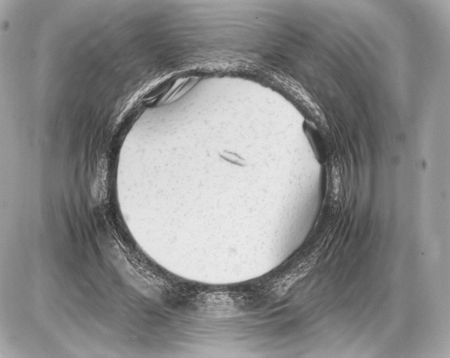 X0000085830588200704091700