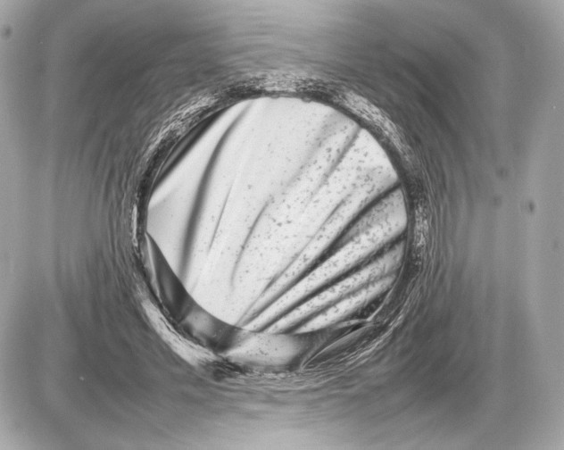 X0000085830589200704091700