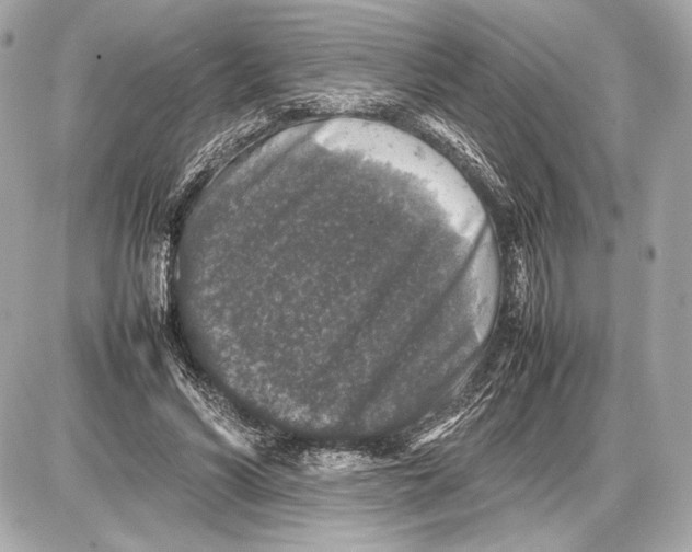 X0000085830590200704091700