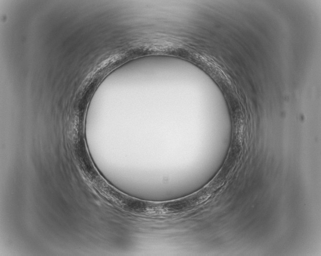 X0000085830591200704091700