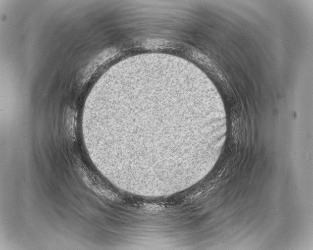 X0000085830592200704091700