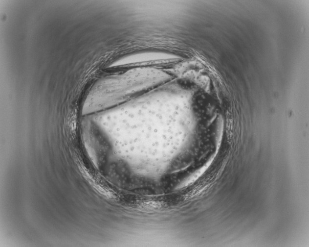 X0000085830593200704091700