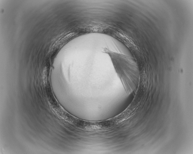 X0000085830594200704091700