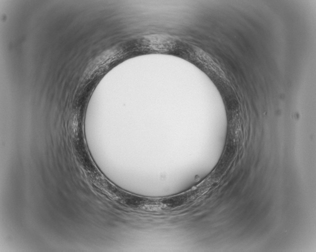 X0000085830595200704091700