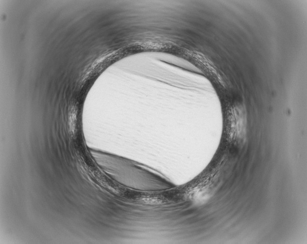 X0000085830596200704091700