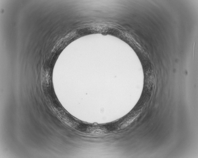 X0000085830597200704091700