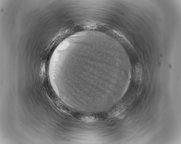 X0000085830598200704091700